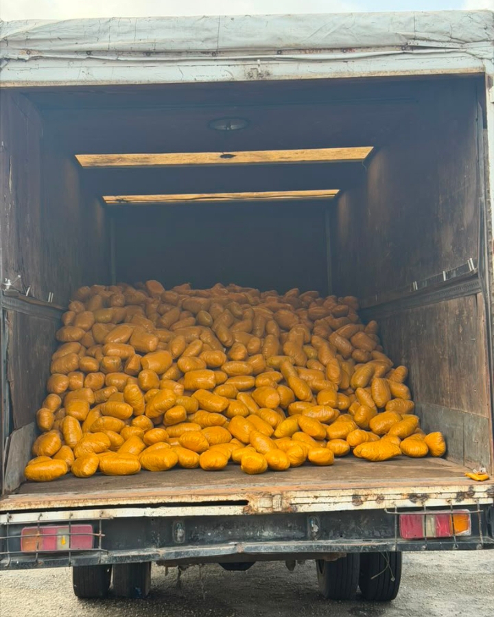 Nigerian Army intercepts illicit drug truck, arrests driver during operation